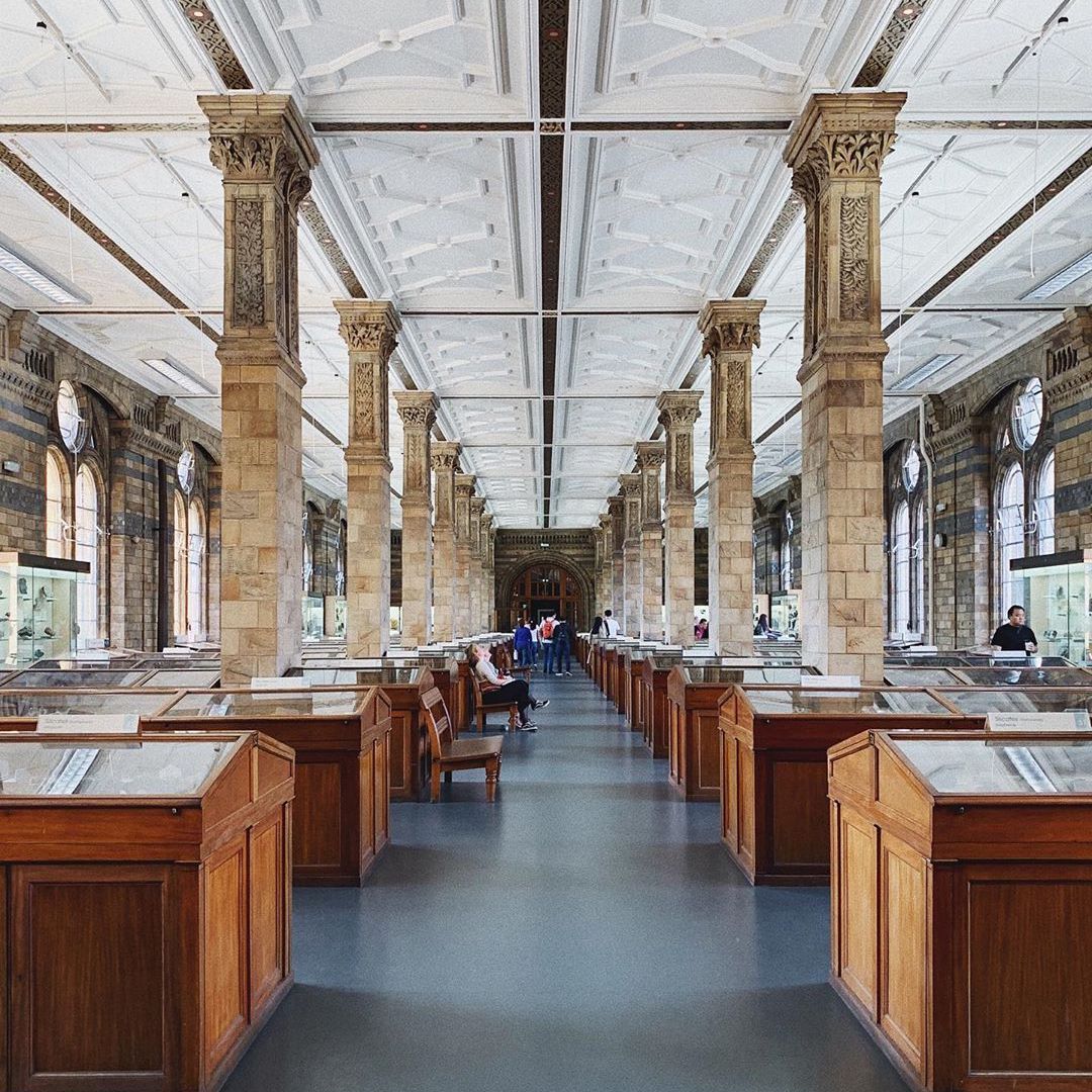 Natural History Museum in London